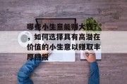 哪些小生意能赚大钱？，如何选择具有高潜在价值的小生意以赚取丰厚回报