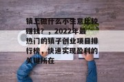 镇上做什么小生意比较赚钱？，2022年最热门的镇子创业项目排行榜，快速实现盈利的关键所在