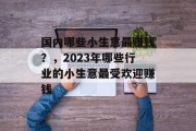 国内哪些小生意最赚钱？，2023年哪些行业的小生意最受欢迎赚钱