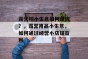 露营地小生意如何赚钱？，露营用品小生意，如何通过经营小店铺盈利