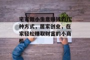 宅家做小生意赚钱的几种方式，居家创业，在家轻松赚取财富的小商机