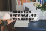 宁波赚钱的小生意——探寻商机与机遇，宁波小生意投资商机探讨