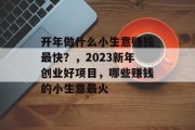 开年做什么小生意赚钱最快？，2023新年创业好项目，哪些赚钱的小生意最火
