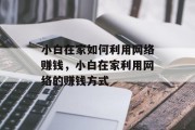 小白在家如何利用网络赚钱，小白在家利用网络的赚钱方式
