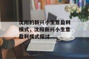 沈阳的新兴小生意盈利模式，沈阳新兴小生意盈利模式探讨