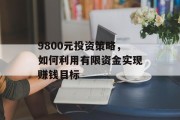 9800元投资策略，如何利用有限资金实现赚钱目标