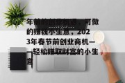 年前的创业机遇，可做的赚钱小生意，2023年春节前创业商机——轻松赚取财富的小生意