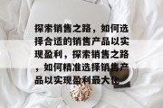 探索销售之路，如何选择合适的销售产品以实现盈利，探索销售之路，如何精准选择销售产品以实现盈利最大化