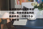 快速赚钱的小生意项目介绍，寻找快速盈利的商业机会，介绍5个小生意项目