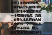墨尔本作为一个充满活力和多元文化的城市，吸引了无数的投资者。这里的商业环境相对稳定，对于小生意来说是一个理想的地点。然而，在墨尔本这样的大城市中找到一个合适的小生意并不容易。那么，墨尔本小生意赚钱多吗？，墨尔本小生意，利润可观还是风险较大?