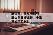 眉山做小生意赚钱吗，眉山创业好选择，小生意如何盈利？