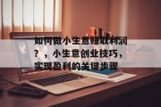如何做小生意赚取利润？，小生意创业技巧，实现盈利的关键步骤