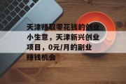 天津赚取零花钱的创业小生意，天津新兴创业项目，0元/月的副业赚钱机会