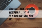 2023年，哪些公司有望赚钱？，2023年有望赚钱的公司有哪些？