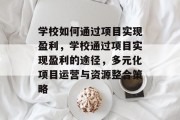 学校如何通过项目实现盈利，学校通过项目实现盈利的途径，多元化项目运营与资源整合策略