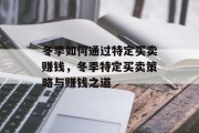 冬季如何通过特定买卖赚钱，冬季特定买卖策略与赚钱之道