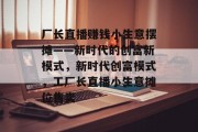 厂长直播赚钱小生意摆摊——新时代的创富新模式，新时代创富模式，工厂长直播小生意摊位售卖