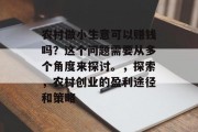 农村做小生意可以赚钱吗？这个问题需要从多个角度来探讨。，探索，农村创业的盈利途径和策略