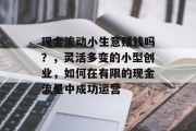 现金流动小生意赚钱吗？，灵活多变的小型创业，如何在有限的现金流量中成功运营