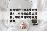 乌海适合干啥小生意赚钱？，乌海创业投资项目，哪些项目可带来高收益