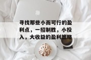 寻找那些小而可行的盈利点，一招制胜，小投入，大收益的盈利策略