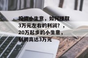 投资小生意，如何赚取3万元左右的利润？，20万起步的小生意，利润高达3万元