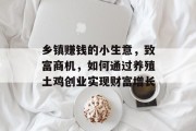 乡镇赚钱的小生意，致富商机，如何通过养殖土鸡创业实现财富增长
