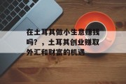 在土耳其做小生意赚钱吗？，土耳其创业赚取外汇和财富的机遇