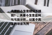 夫妻的小生意赚钱不赚钱？，夫妻小生意盈利与亏损分析，以某个具体的项目为例