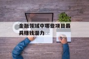 金融领域中哪些项目最具赚钱潜力