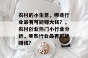 农村的小生意，哪些行业最有可能赚大钱？，农村创业热门小行业分析，哪些行业最有可能赚钱?