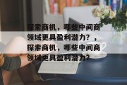 探索商机，哪些中间商领域更具盈利潜力？，探索商机，哪些中间商领域更具盈利潜力？