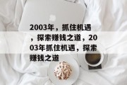 2003年，抓住机遇，探索赚钱之道，2003年抓住机遇，探索赚钱之道