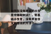 如何在没有声音的小生意中赚取利润？，零基础小生意，没有声音但又能赚钱的方法