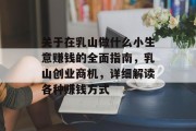 关于在乳山做什么小生意赚钱的全面指南，乳山创业商机，详细解读各种赚钱方式