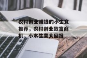 农村创业赚钱的小生意推荐，农村创业致富商机，小本生意大回报