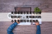无锡哪些小生意可以赚取利润？，无锡新兴的小生意赚钱项目推荐