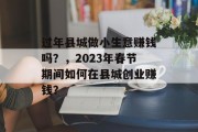 过年县城做小生意赚钱吗？，2023年春节期间如何在县城创业赚钱？