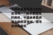 中国未来最具潜力的投资领域——探寻最赚钱的商机，中国未来最具潜力的投资领域，探寻高回报商机