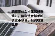 究竟学什么小生意好赚钱？，精选适合新手的创业小项目，投资收益显著