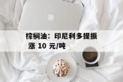 棕榈油：印尼利多提振 涨 10 元/吨