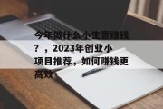 今年做什么小生意赚钱？，2023年创业小项目推荐，如何赚钱更高效