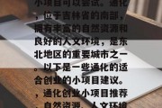通化有许多适合创业的小项目可以尝试。通化，位于吉林省的南部，拥有丰富的自然资源和良好的人文环境，是东北地区的重要城市之一。以下是一些通化的适合创业的小项目建议。，通化创业小项目推荐，自然资源、人文环境与城市发展相融合