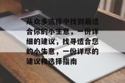 从众多选择中找到最适合你的小生意，一份详细的建议，找寻适合您的小生意，一份详尽的建议和选择指南