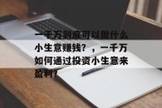 一千万到底可以做什么小生意赚钱？，一千万如何通过投资小生意来盈利？