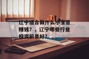 辽宁适合做什么小生意赚钱？，辽宁哪些行业投资前景好？