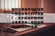 如何在德州寻找并经营一份适合自己的小生意？，关于德克萨斯州的小生意创业，如何选择和经营适合的业务