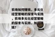 农场如何赚钱，多元化经营策略的探索与实践，农场多元化经营策略的探索与实践，如何赚钱？