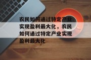 农民如何通过特定产业实现盈利最大化，农民如何通过特定产业实现盈利最大化
