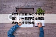 农村干点什么小生意赚钱？，一夜间轻松赚到钱的小生意推荐